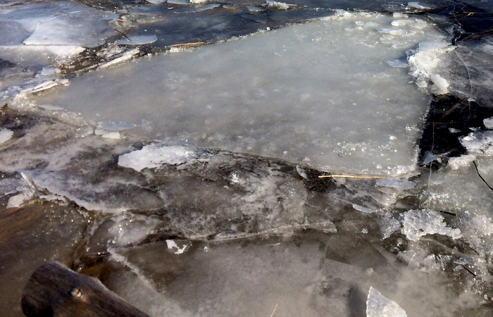 Ferienhaus in Mönkebude, Urlaub am Stettiner Haff