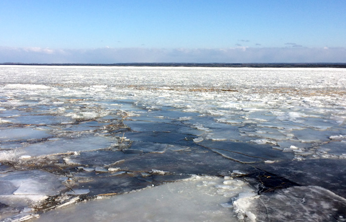Ferienhaus in Mönkebude, Urlaub am Stettiner Haff