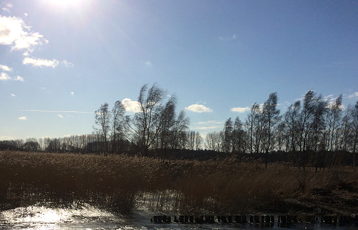 Ferienhaus in Mönkebude, Urlaub am Stettiner Haff