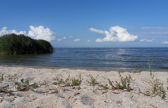 Ferienhaus in Mönkebude, Urlaub am Stettiner Haff