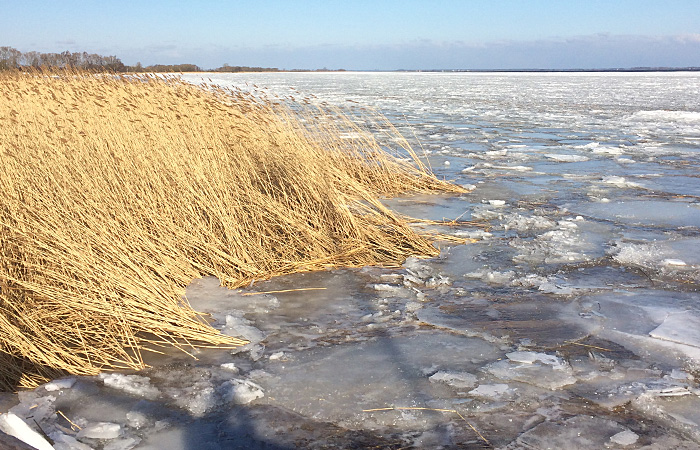 Ferienhaus in Mönkebude, Urlaub am Stettiner Haff