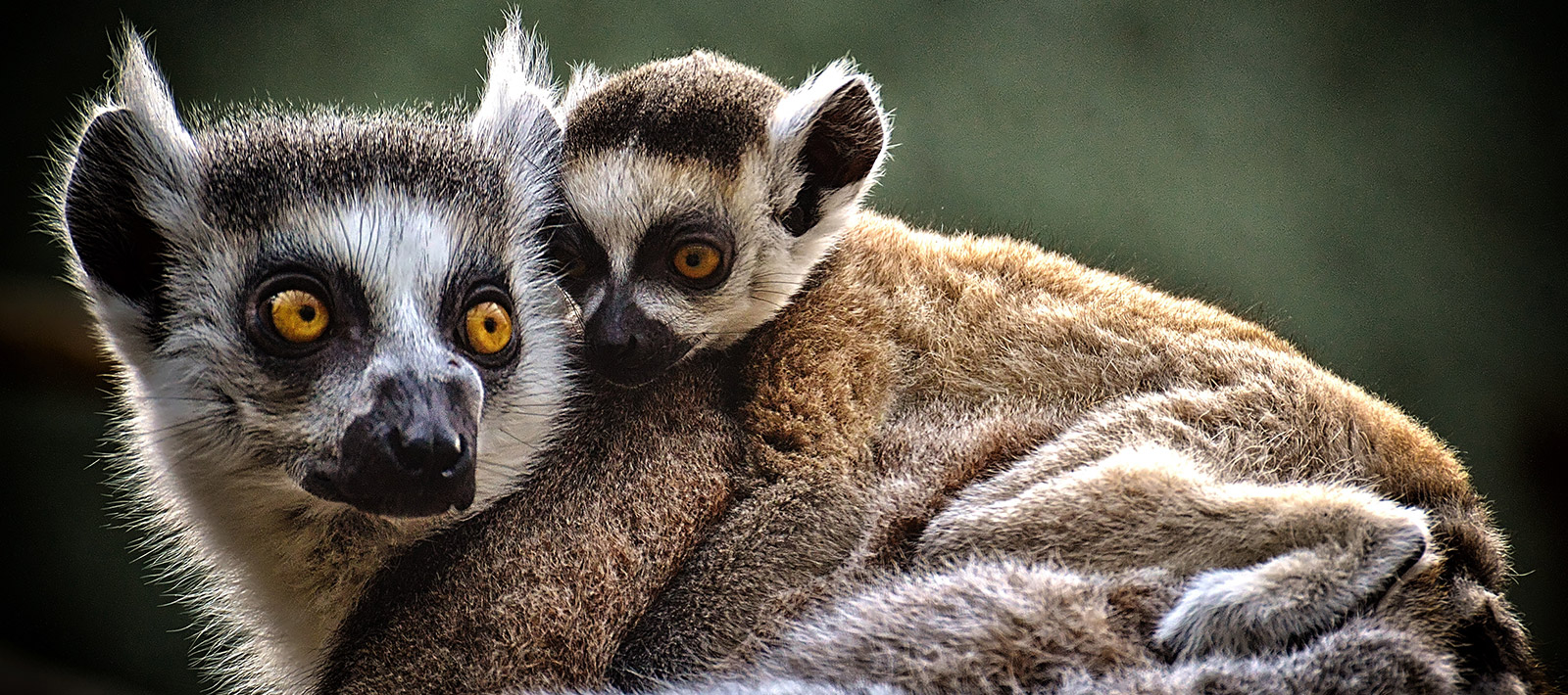 Tierpark Uckermünde
