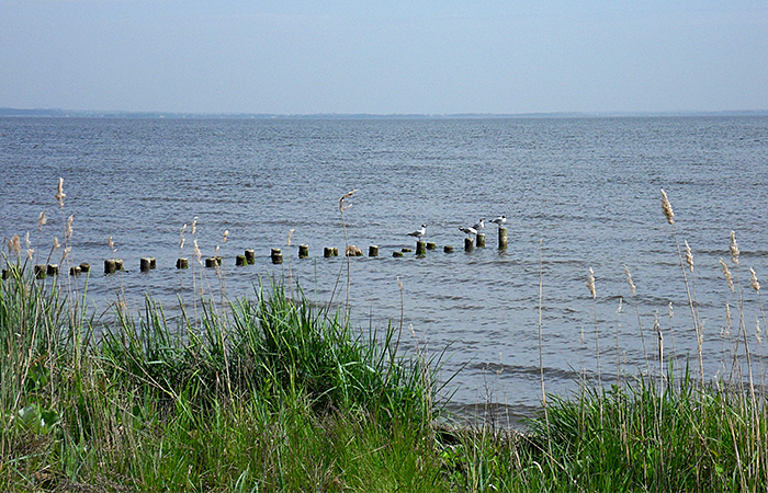 Ferienhaus in Mönkebude, Urlaub am Stettiner Haff